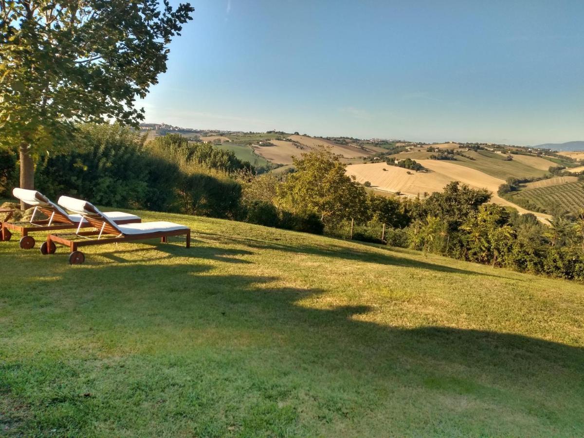 Il Gallo Silvestre - Bed&Books Montecassiano Exterior foto